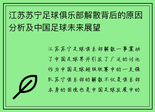 江苏苏宁足球俱乐部解散背后的原因分析及中国足球未来展望