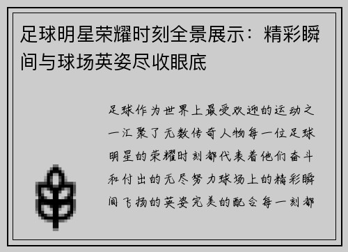足球明星荣耀时刻全景展示：精彩瞬间与球场英姿尽收眼底