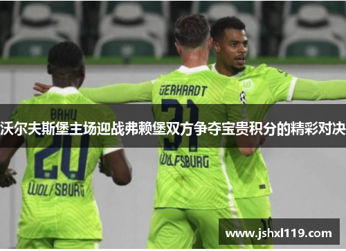 沃尔夫斯堡主场迎战弗赖堡双方争夺宝贵积分的精彩对决